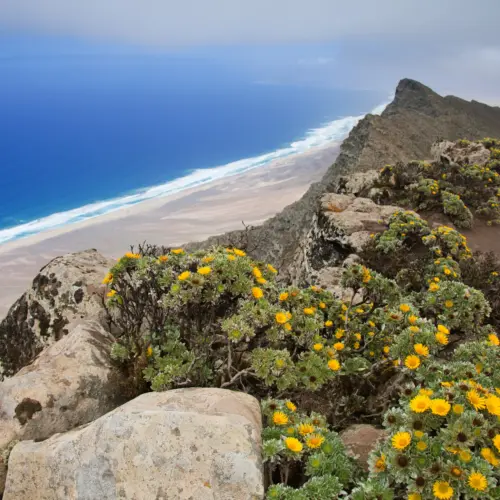 iStock-166153160pico zarza trail_result